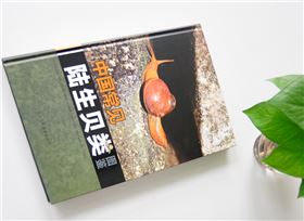 陆生贝类  精装画册印刷出版