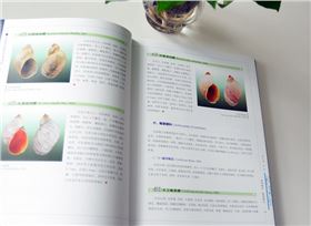 陆生贝类  精装画册印刷出版